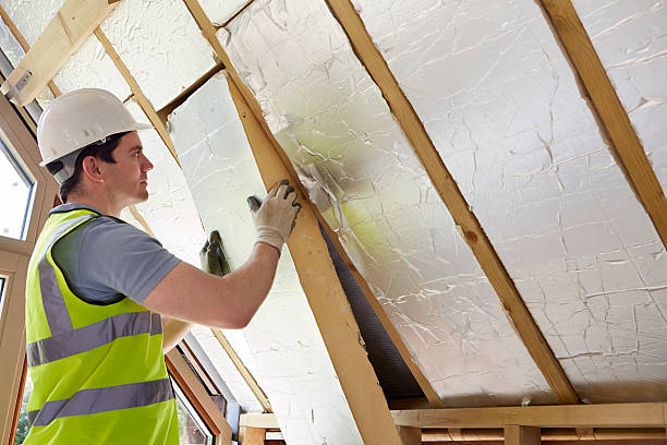 Best Insulation Maintenance and Repair in St Cloud, MN